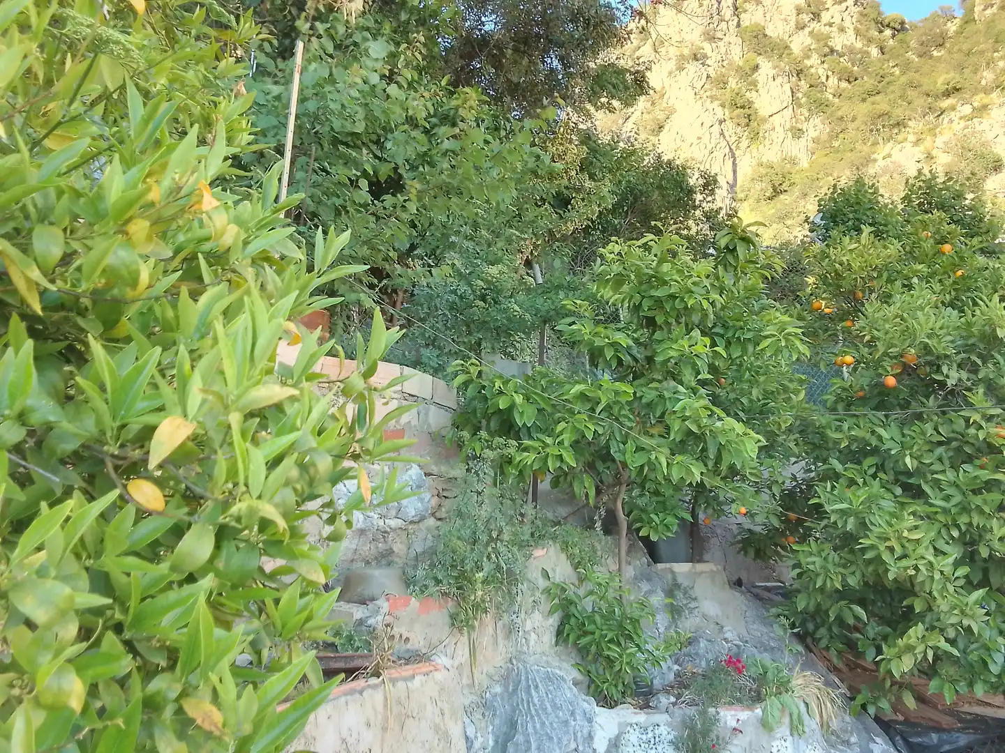 Casa rústica amb jardí en venda a Ubrique, imagen 21