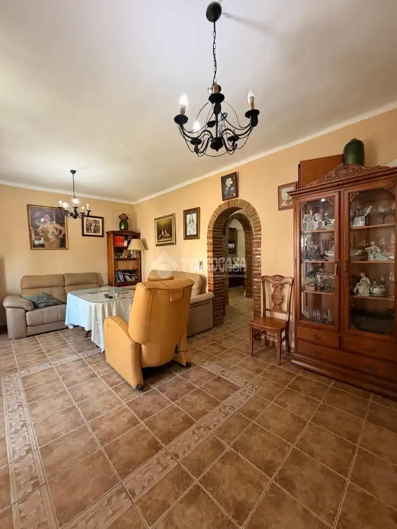 Sala de estar de Casa adosada en venta en Antequera