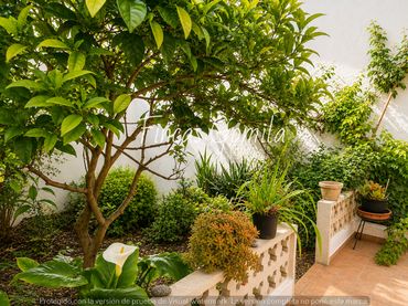 Casa en venda a Maó ciutat