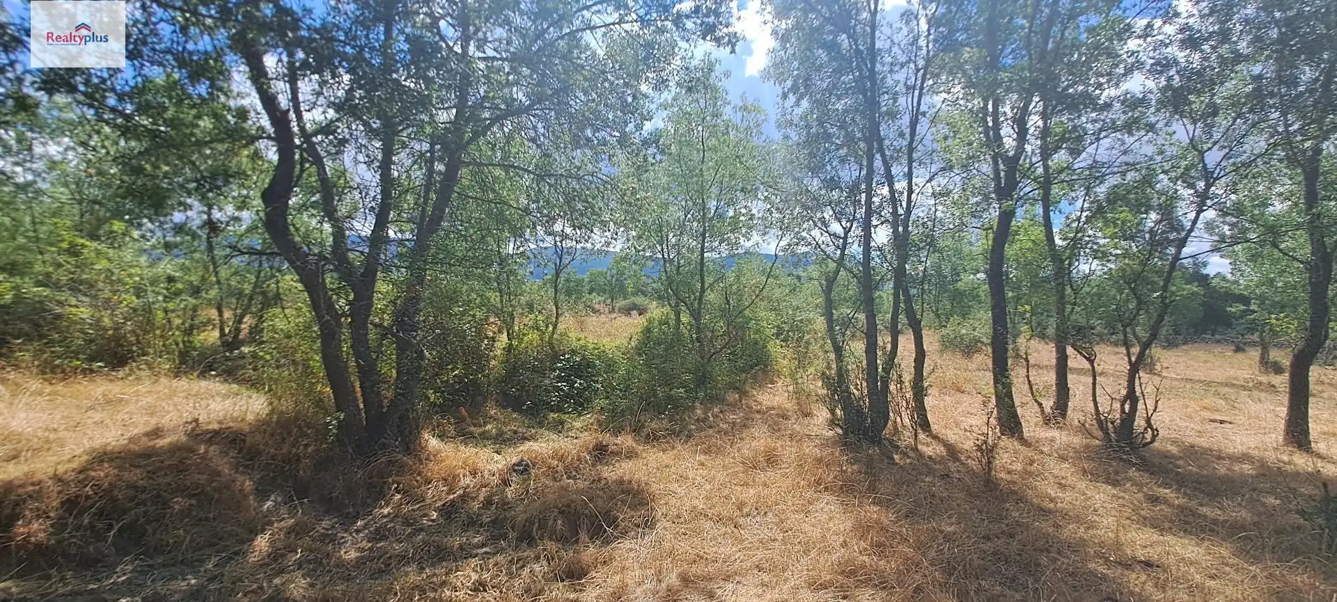 Terreni e lotti in vendita a Sotosalbos, imagen 8