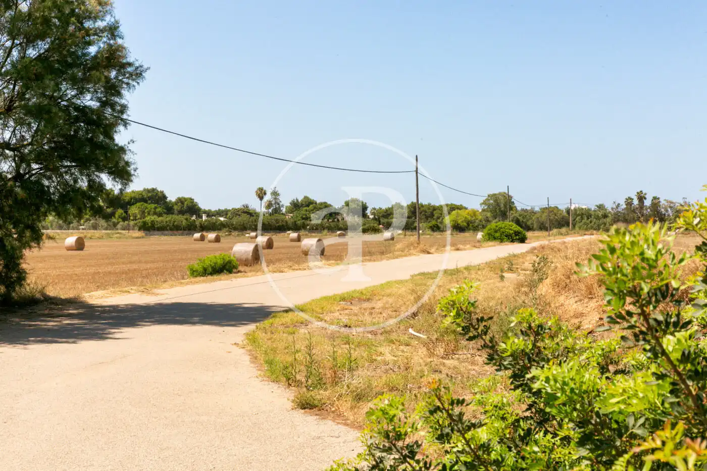 Casa o xalet en venda en  Palma de Mallorca amb Aire condicionat, Calefacció i Jardí privat