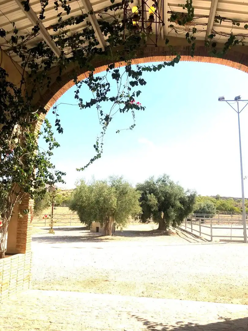 Casa rústica con terraza en venta en Partidas de Alicante, imagen 7