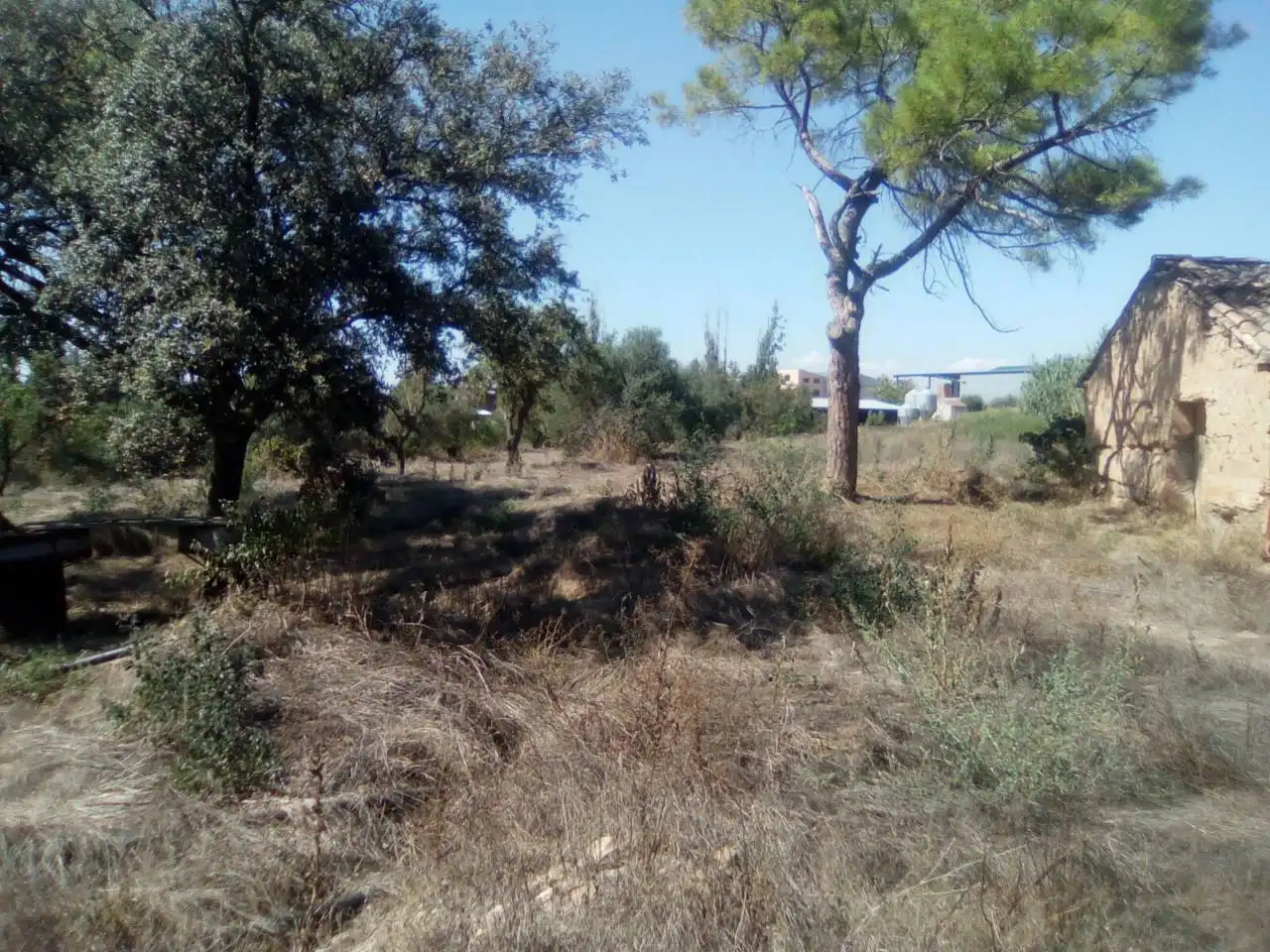 Casa o xalet en venda en Alcampell amb Jardí privat