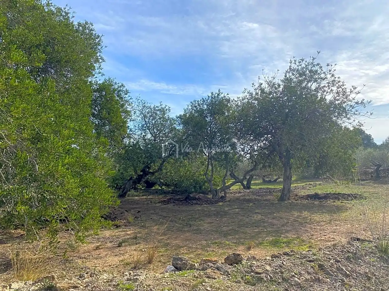 Terreno rustico in vendita a Planas, imagen 13