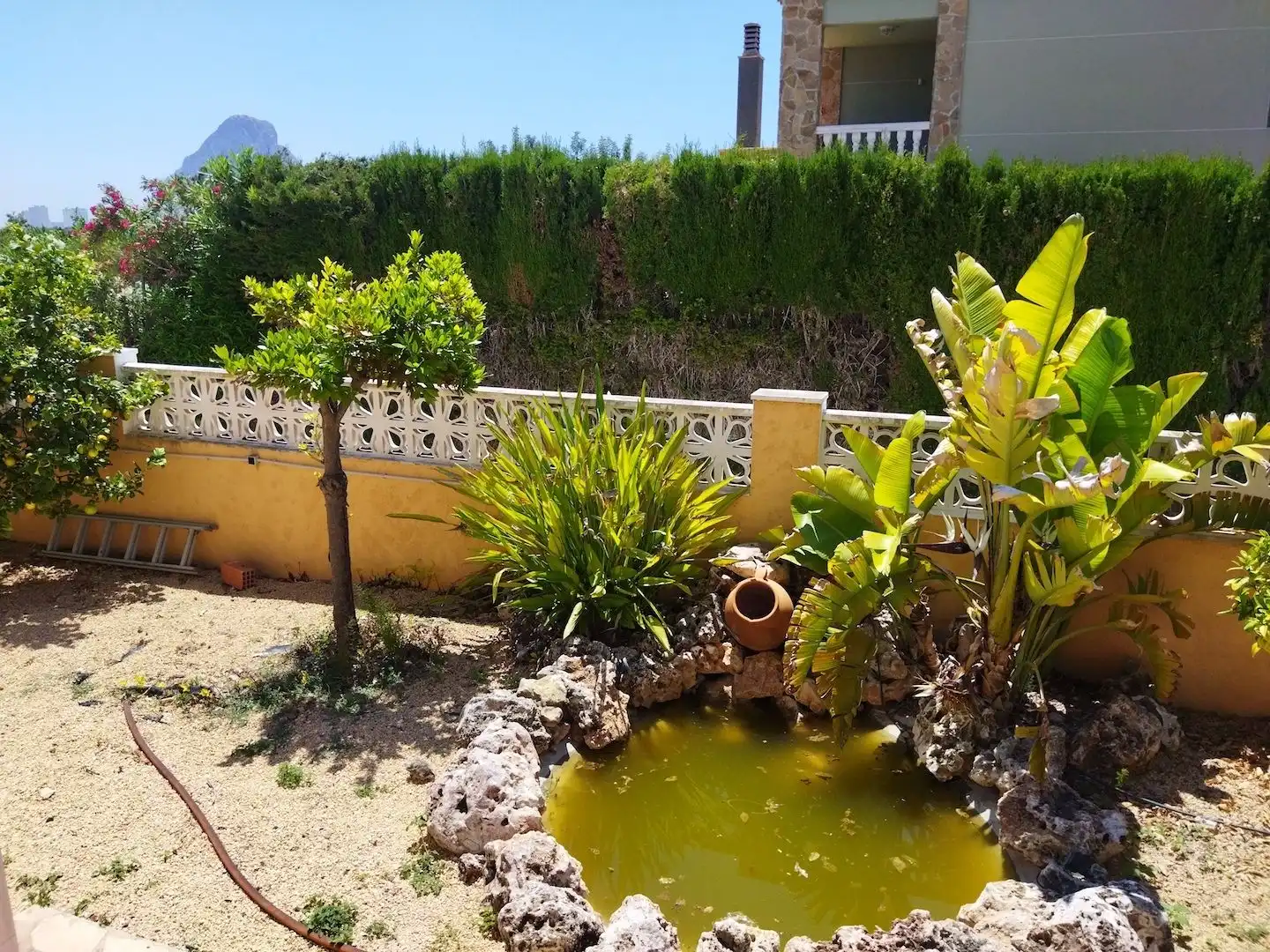 Maison avec jardin à vendre à Canuta, imagen 23