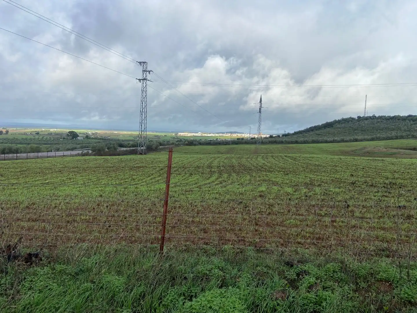 Grundstücke zum Verkauf in Olivenza