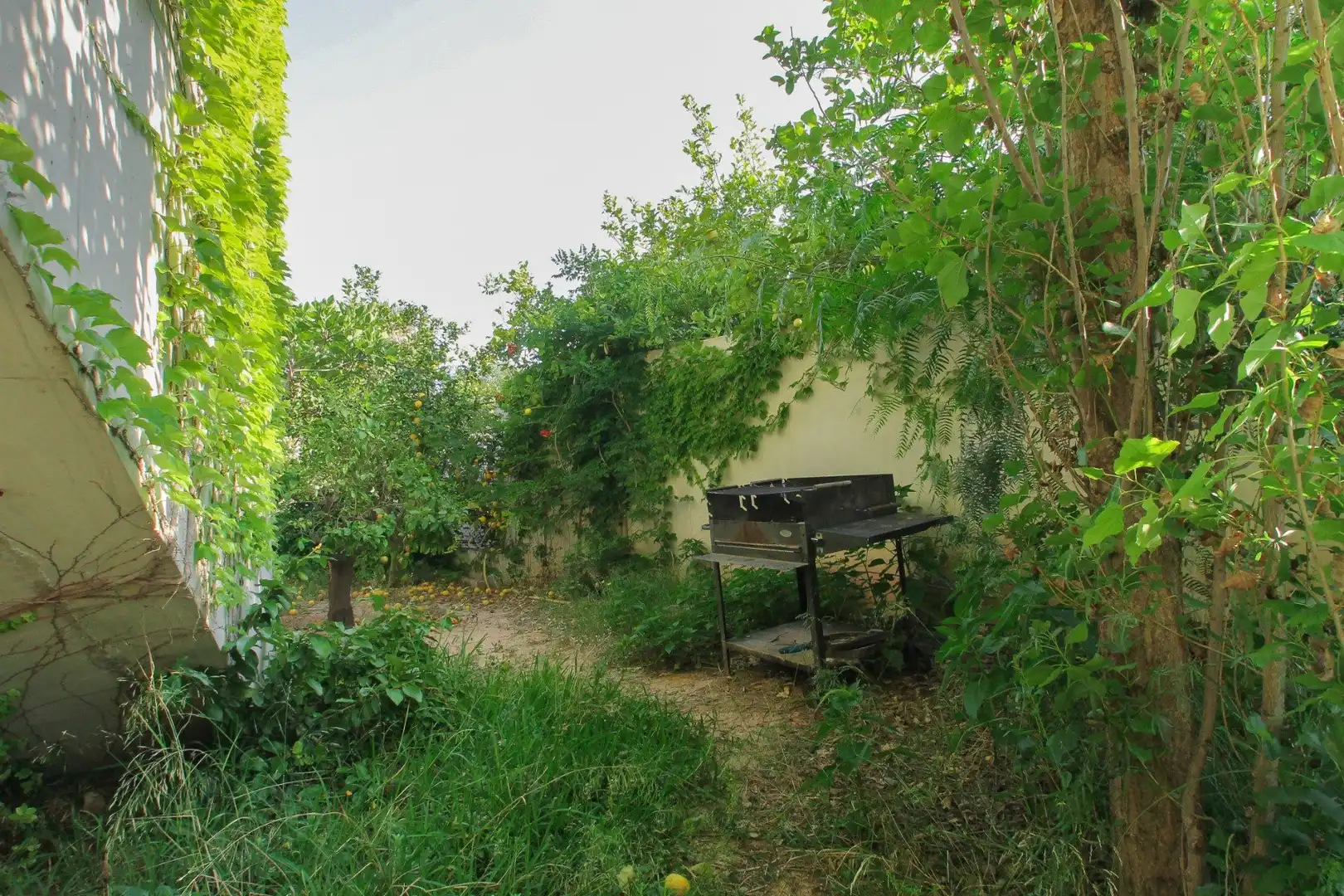 Garden of Houses for sale in San Vicente del Raspeig / Sant Vicent del Raspeig  with Private garden, Storage room and Swimming Pool