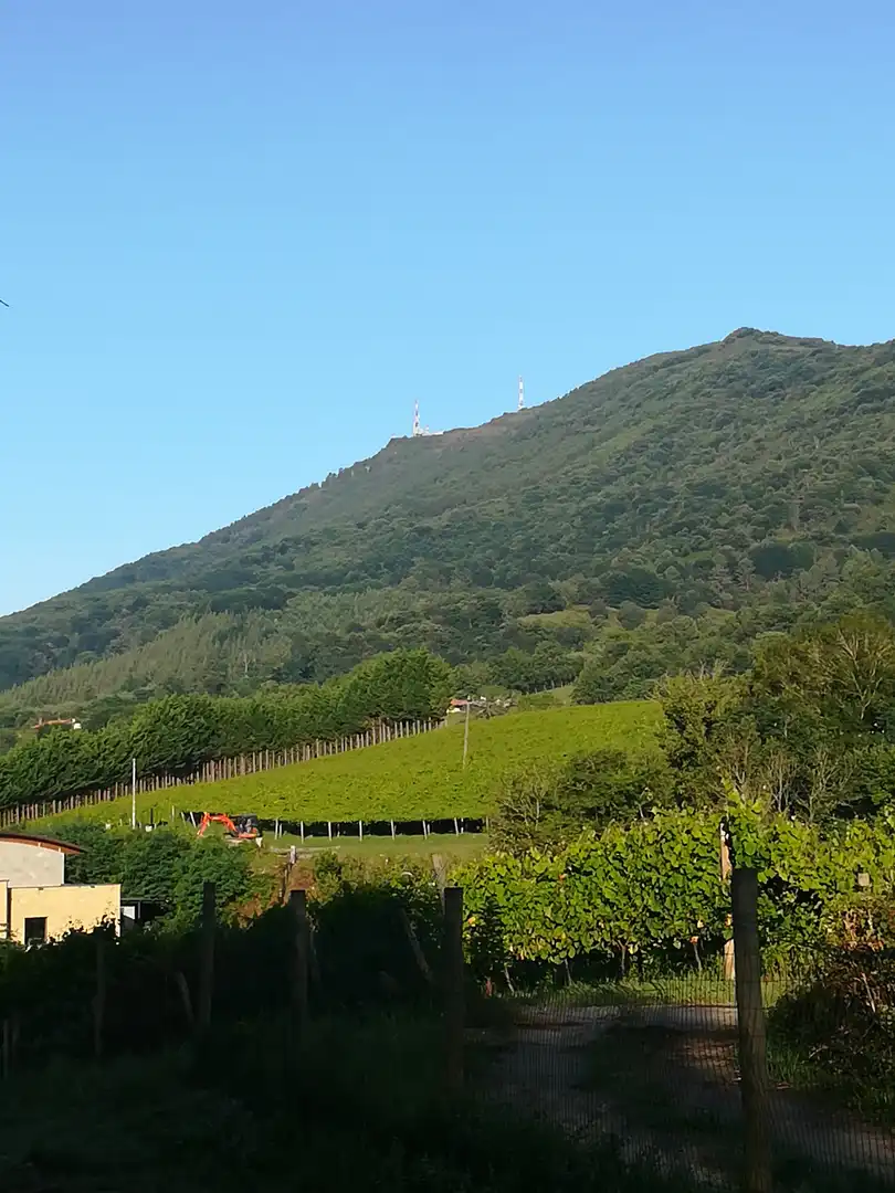 Terreno en venta en Jaitzubia Auzoa, 69, Hondarribia