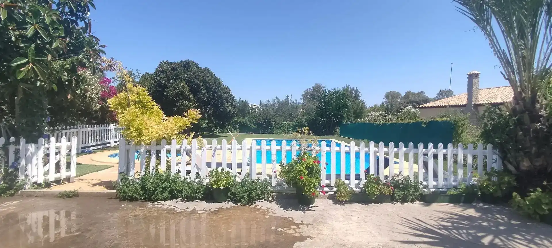 Piscina de Finca rústica en venda en El Coronil amb Aire condicionat, Jardí privat i Piscina