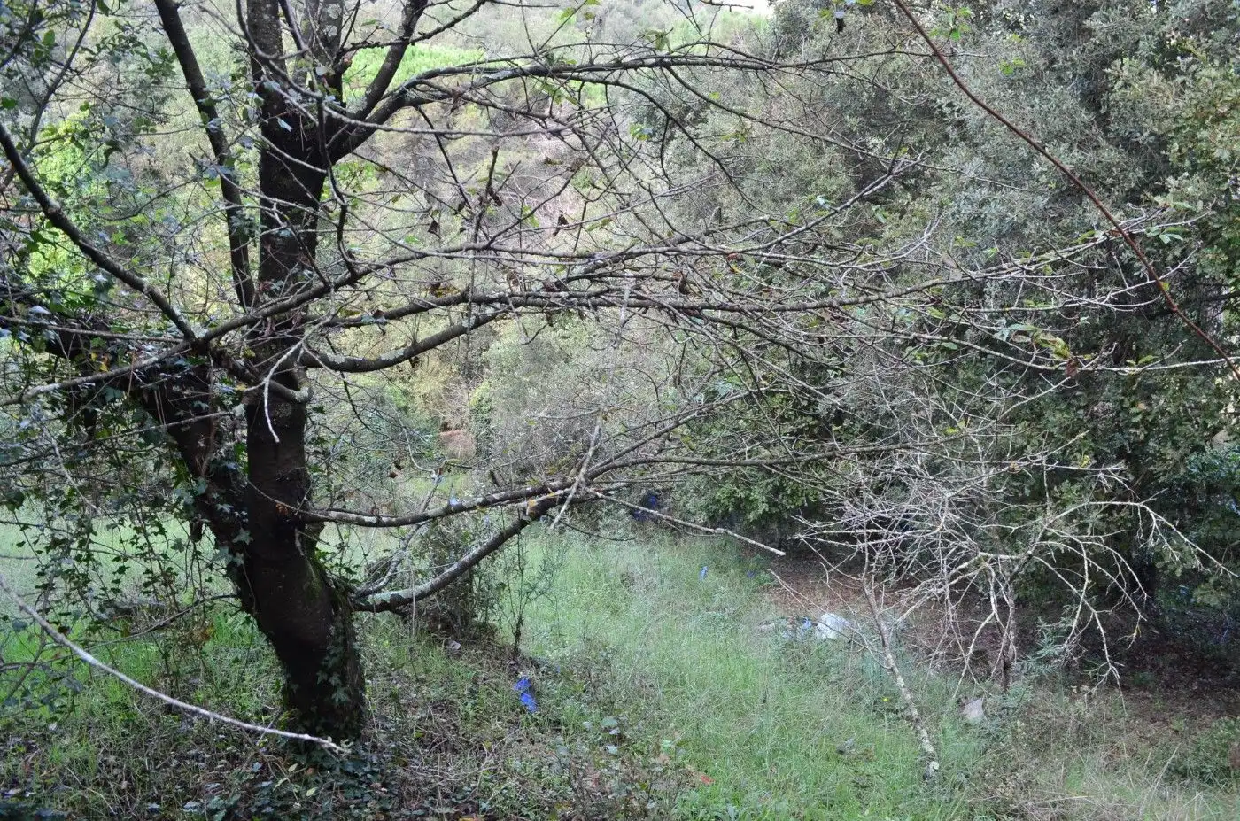 Wohnbaugrundstück zum Verkauf in Sant Celoni, imagen 17