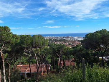 Terrenys i solars en venda a J.S.Bach