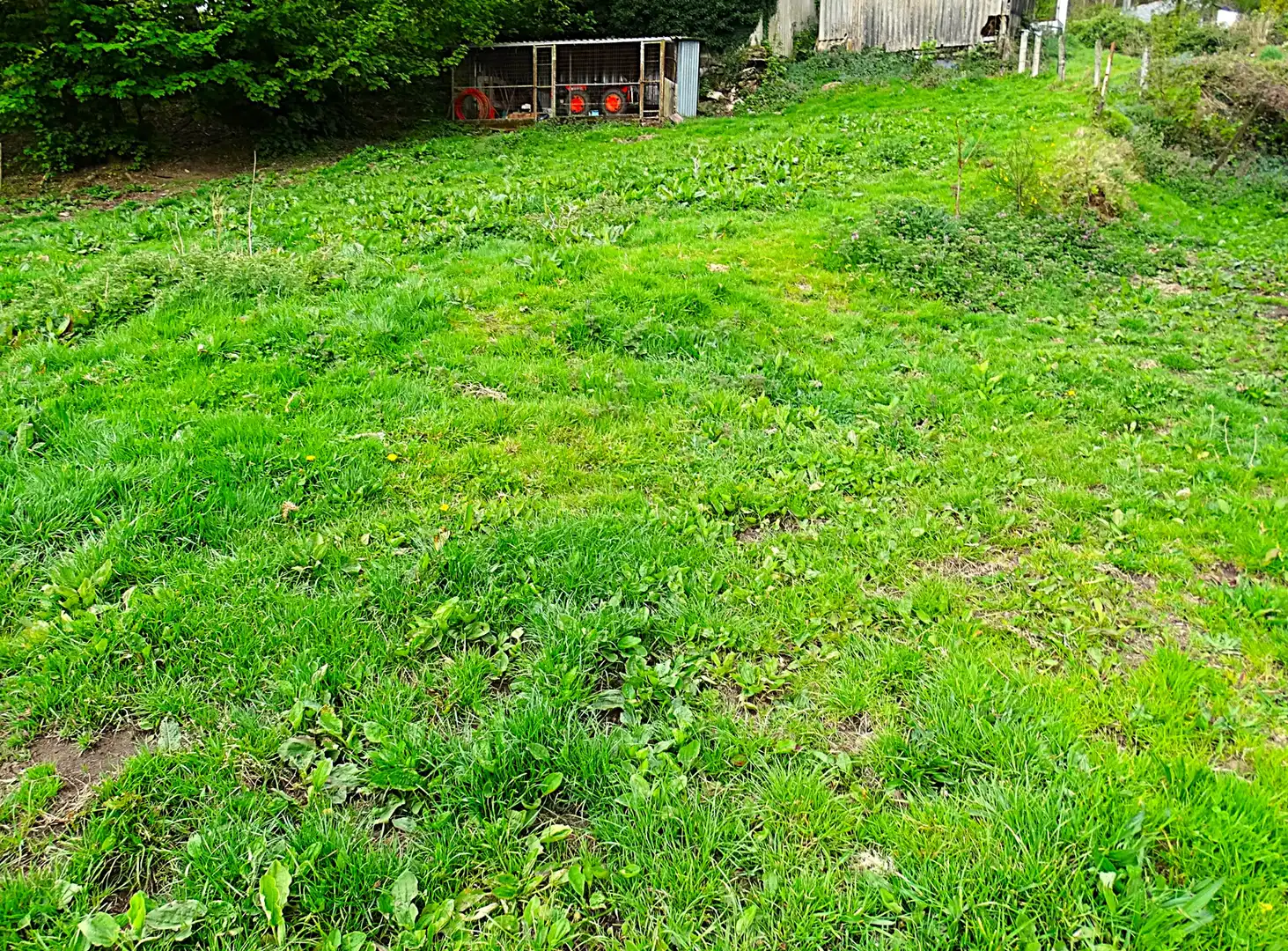 Country homes for sale in Muras