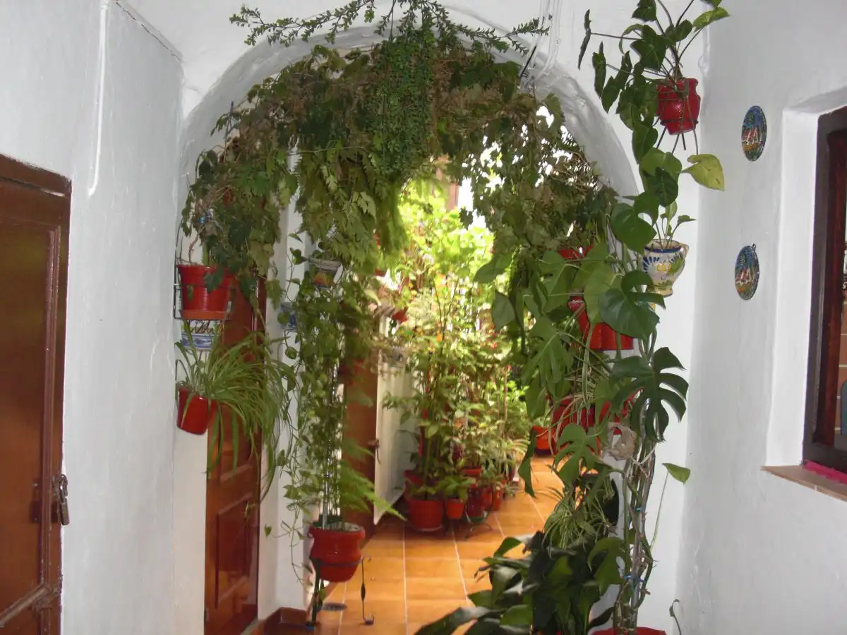 Mini appartamento in affitto a Vejer, imagen 2