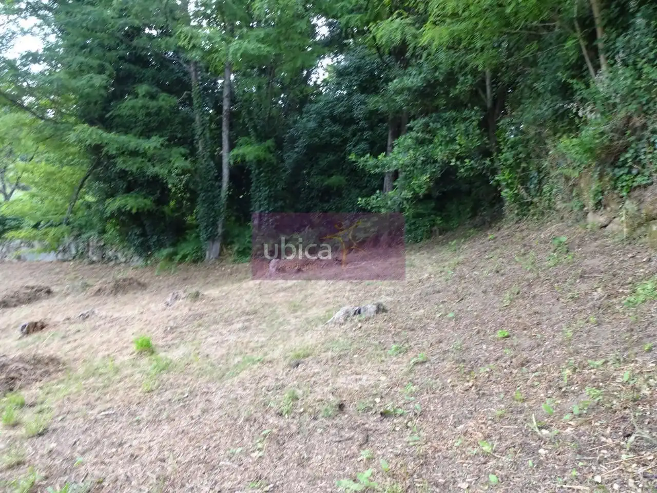 Lands and plots for sale in Salceda de Caselas, imagen 10