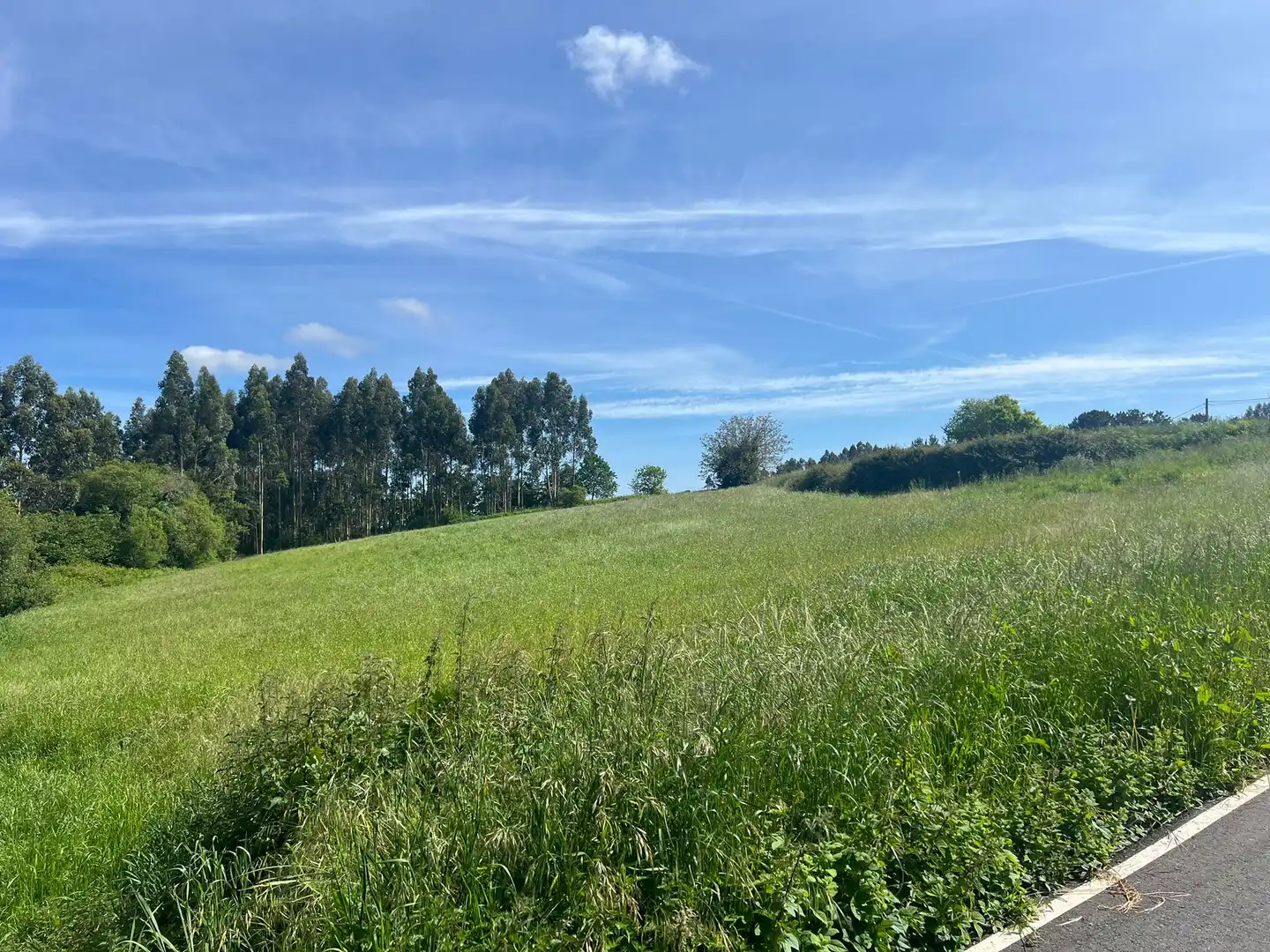 Terreno residenziale in vendita a Miño