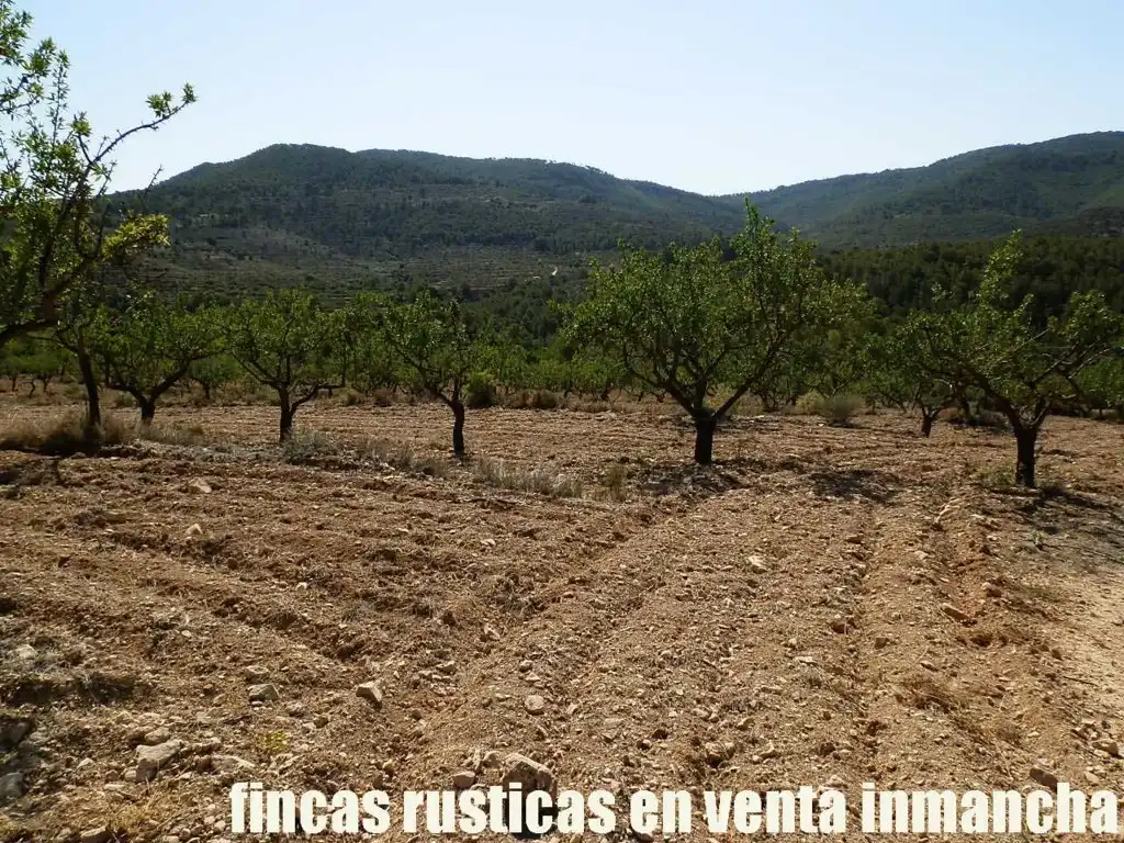 Terreny rústic en venda a Jijona / Xixona, imagen 6