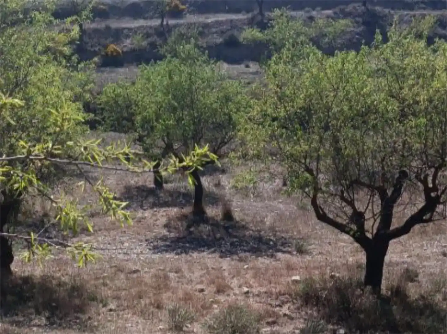 Terreno en venta en Chirivel, Almería