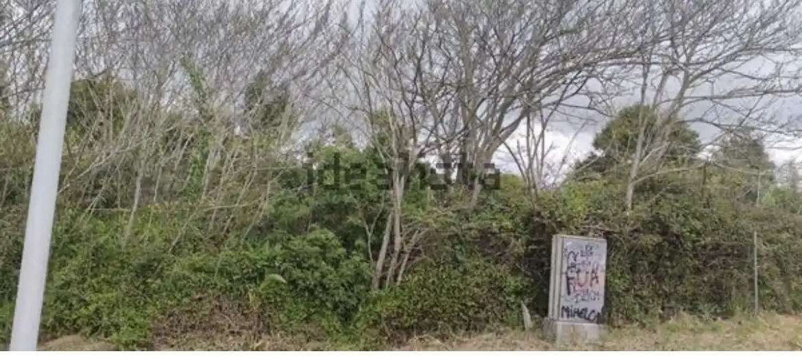 Residencial en venta en A Guarda  