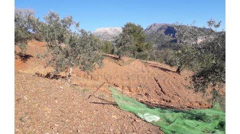 Foto 4 de Casa o chalet en venta en Yunquera, Málaga