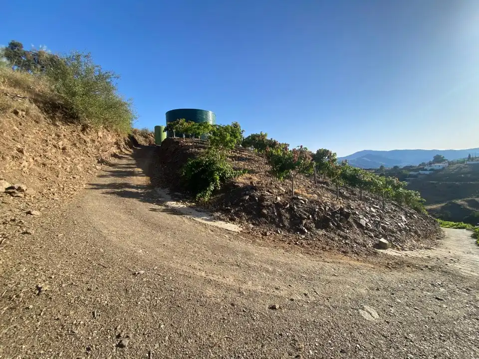 Terreny rústic en venda a Carretera Vélez-Málaga 1D, imagen 14