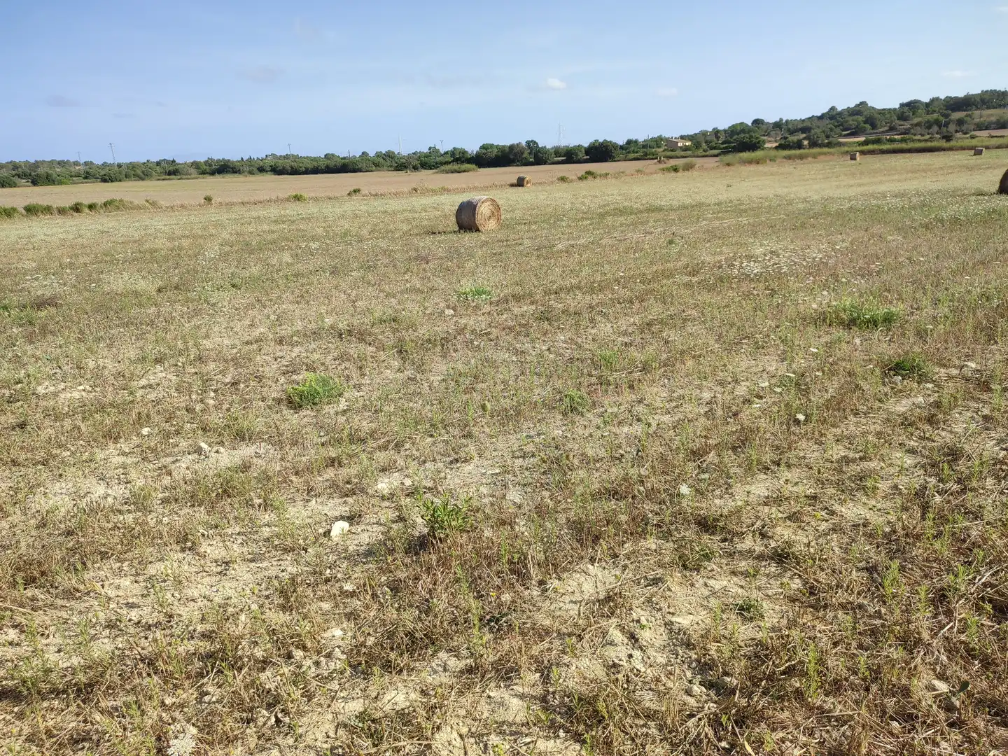 Casa in vendita a Petra, imagen 30