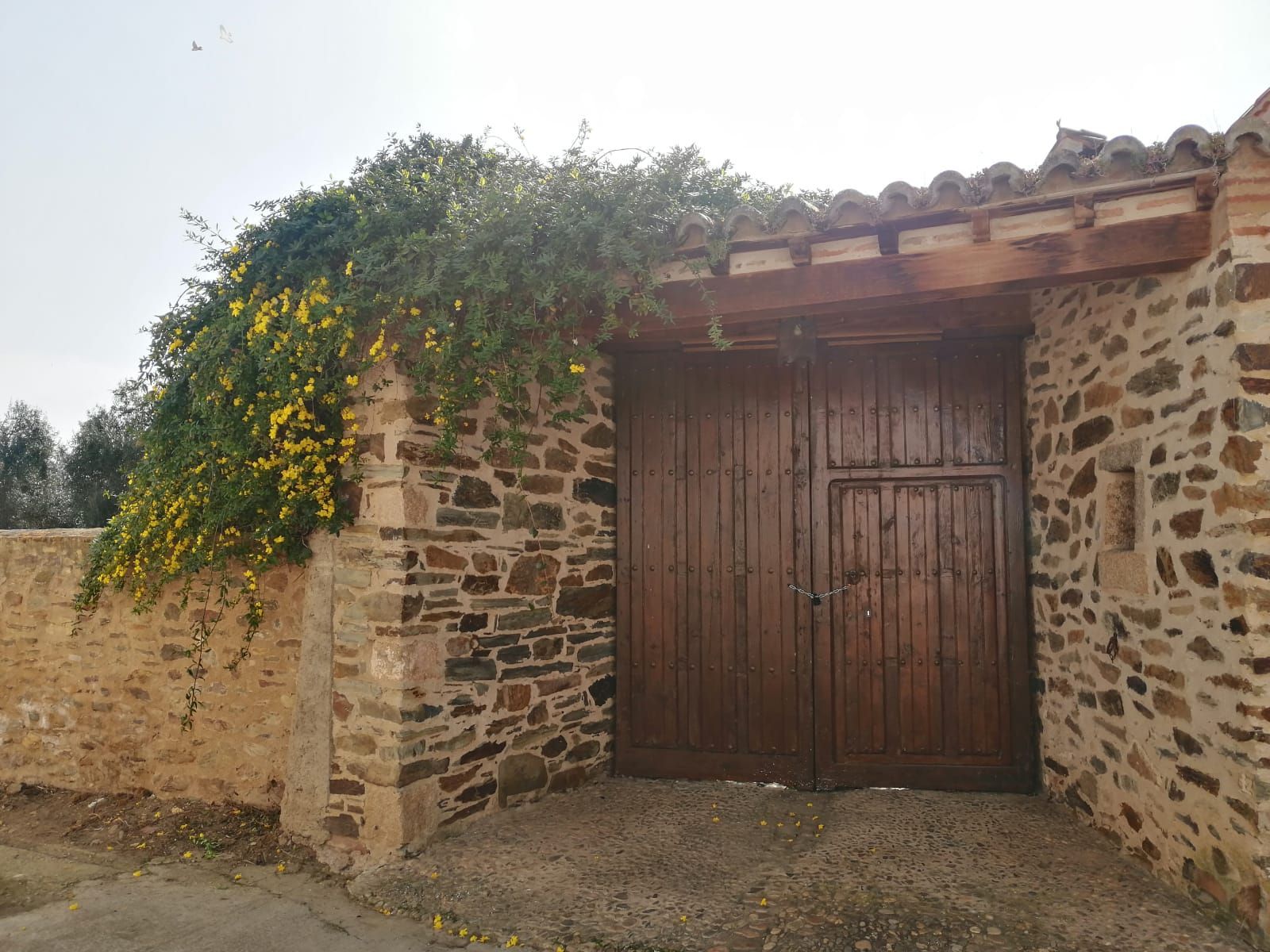 Country house for sale in Herreruela  with Terrace and Balcony