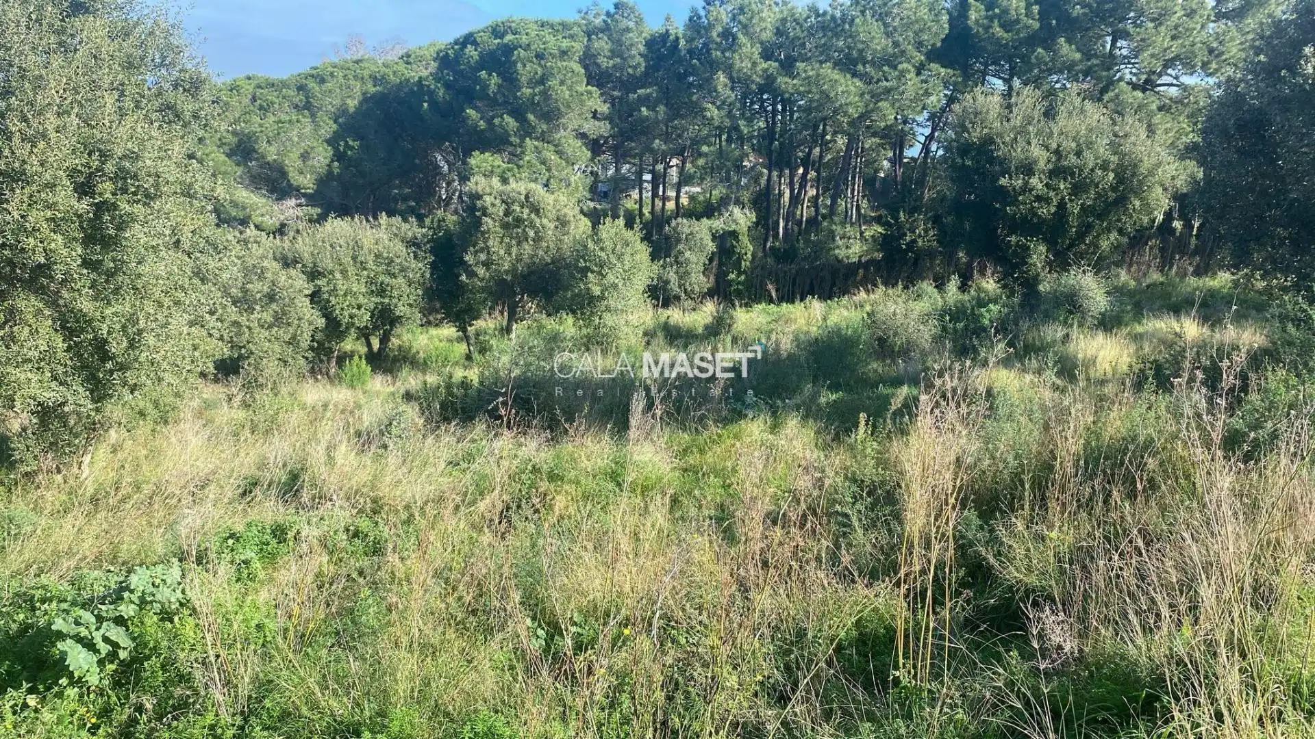 Terreni e lotti in vendita a Romanyà, imagen 8