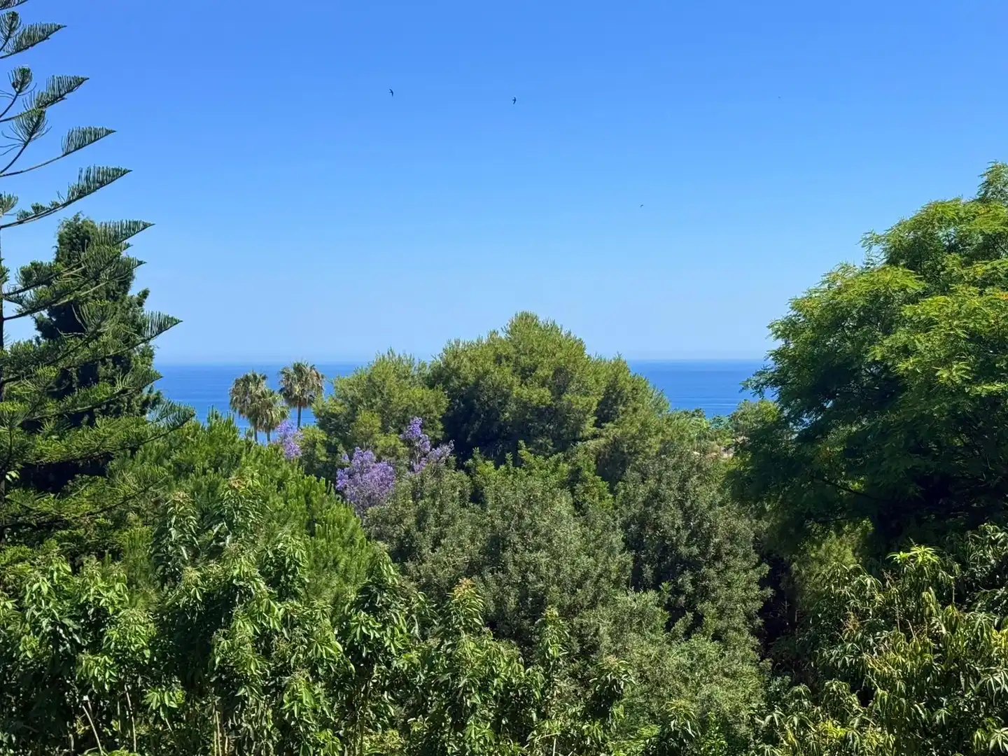 Jardí de Casa o xalet en venda en Benalmádena amb Aire condicionat, Jardí privat i Terrassa