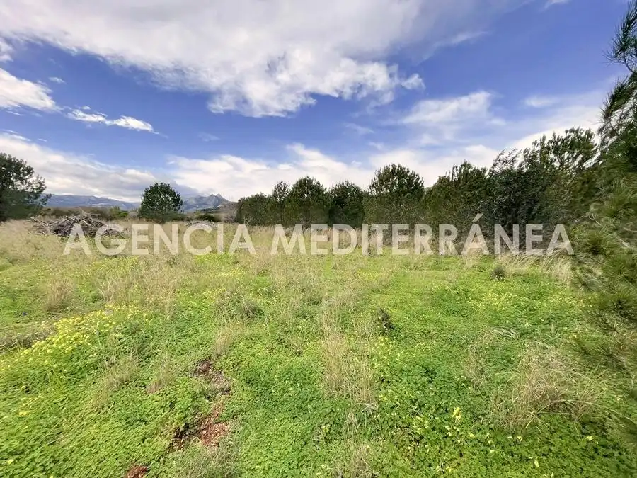 Terreny residencial en venda a Beniarbeig, imagen 4