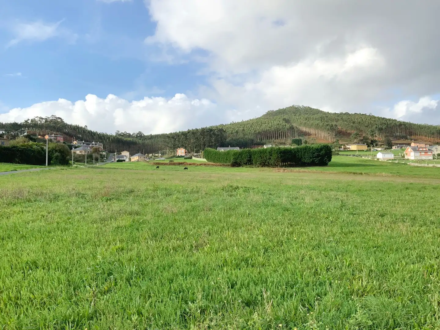 Terreni e lotti in vendita a Palmiz - San Martiño, imagen 5