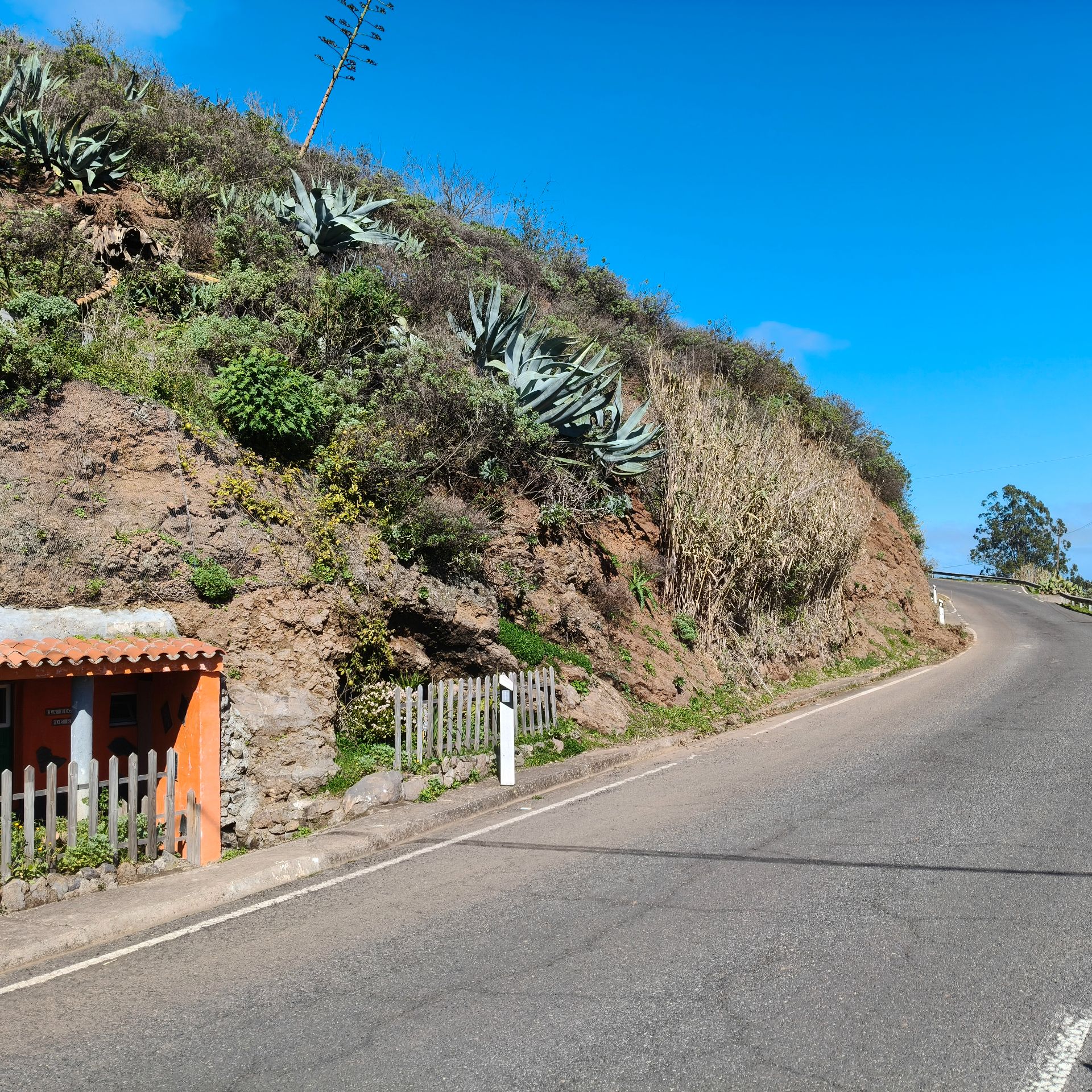 Vista exterior de Finca rústica en venta en Santa María de Guía de Gran Canaria con Amueblado