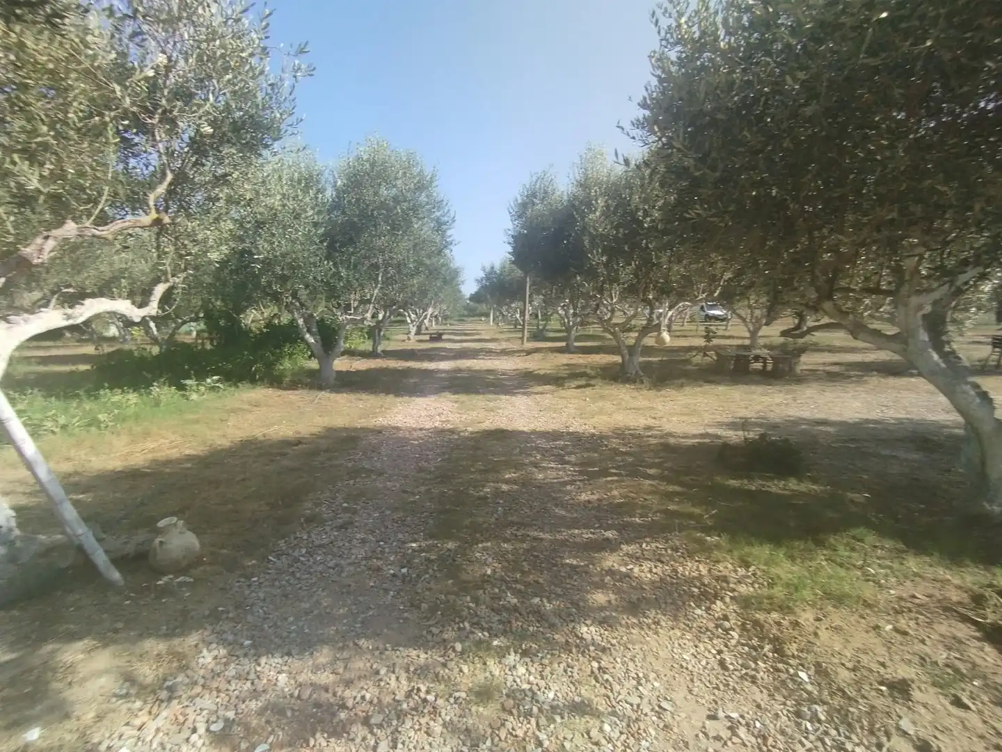 Finca rústica en venda a La Punxa
