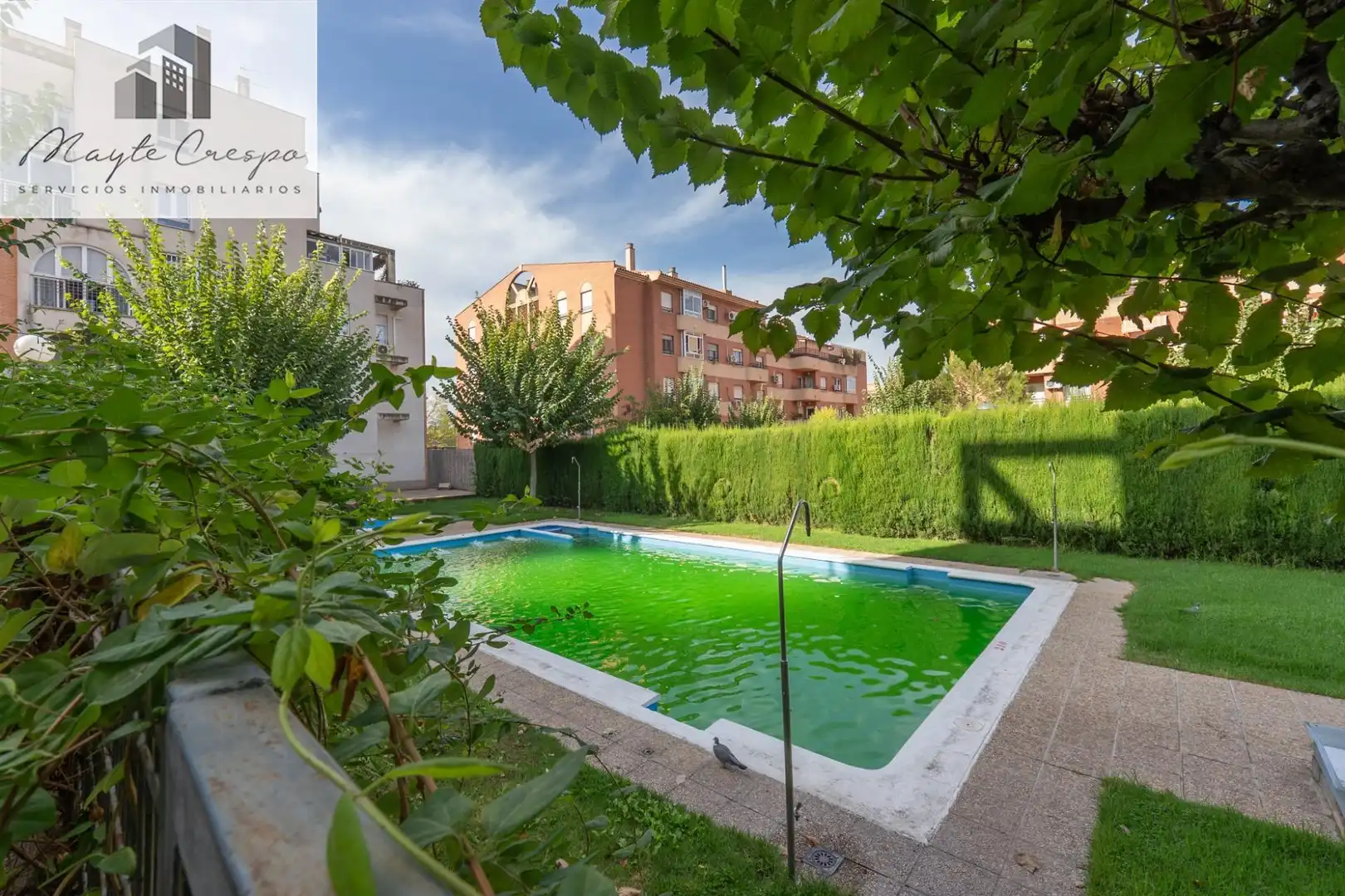 Pis amb piscina en venda a Norte, imagen 55
