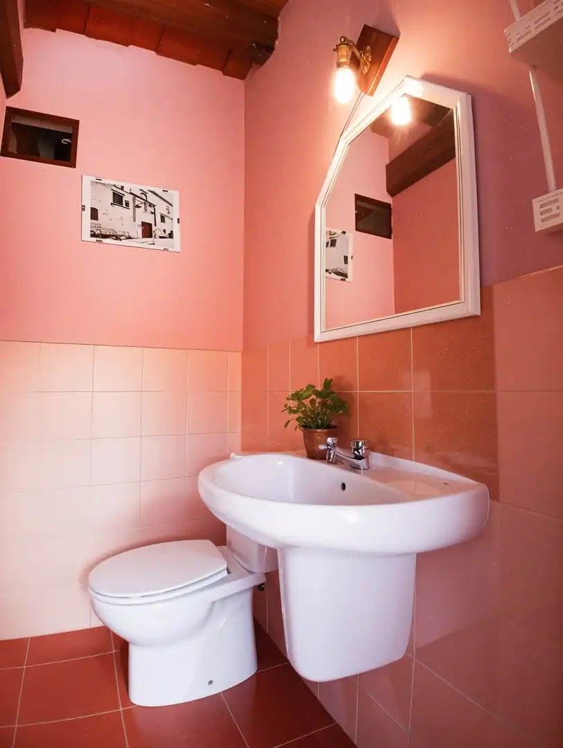Badezimmer von Haus oder Chalet zum Verkauf in Santa María la Real de Nieva mit Privatgarten