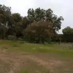Rural land for sale in Topas, imagen 31