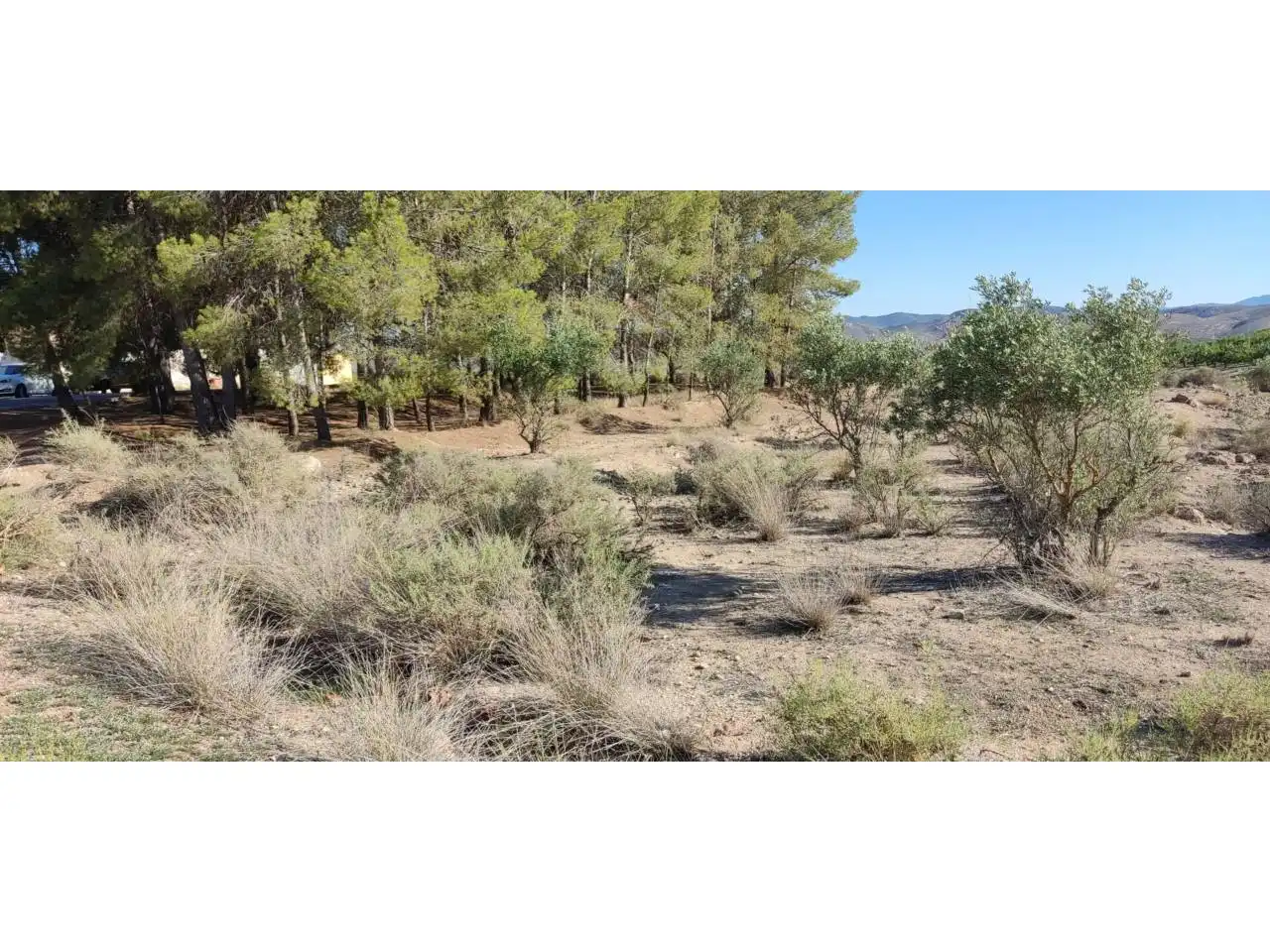 Terrenos y solares en venta en Hellín