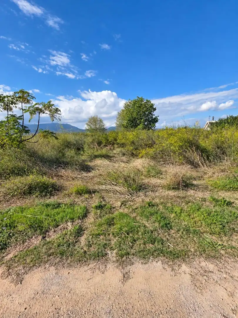 Rural land for sale in Polígono Sèquia de la Figuerola Dreta, imagen 7