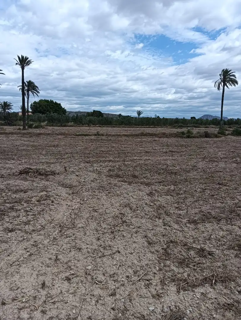 Terreno en venta en Elche / Elx