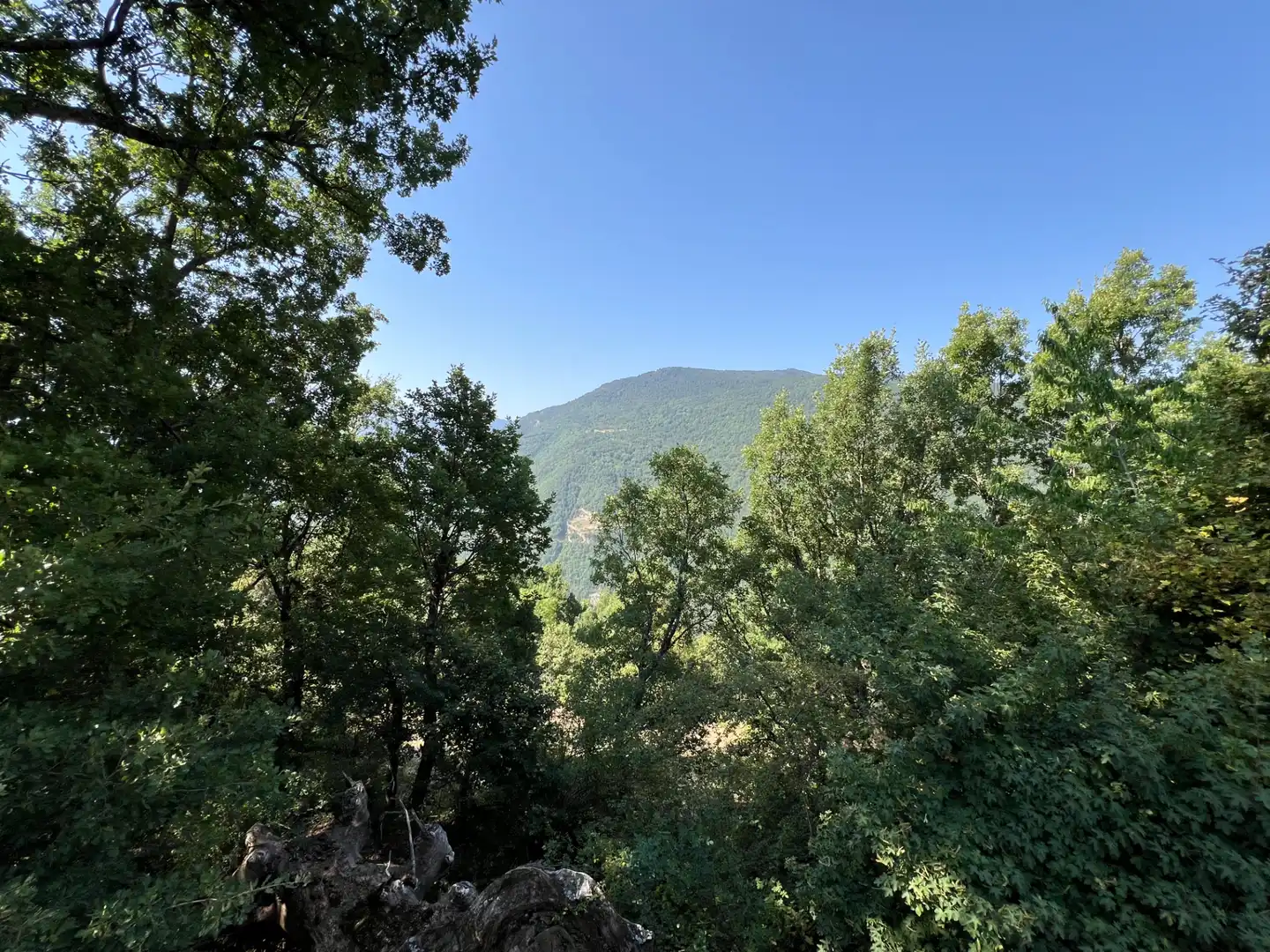 Land for sale in Broto