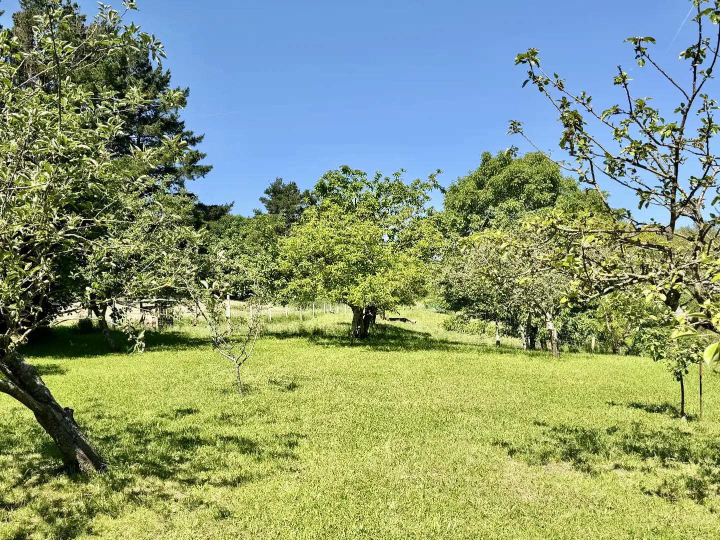 Casa amb jardí en venda a Queveda - BO QUEVEDA-MERMON 10, imagen 21