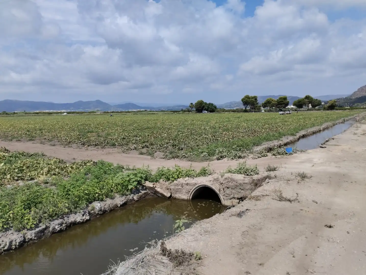 Rural land for sale in N/A, imagen 31