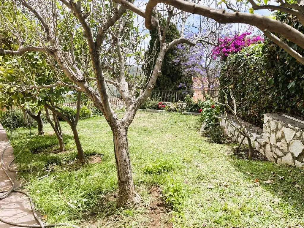 Chalet con piscina en venta en Puerto de la Torre - Atabal, imagen 5