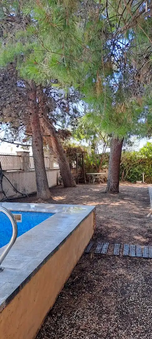 Garten von Haus oder Chalet zum Verkauf in Elche / Elx mit Terrasse, Abstellraum und Schwimmbad
