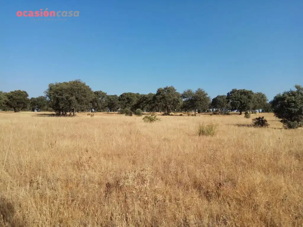 Country homes for sale in Torrecampo