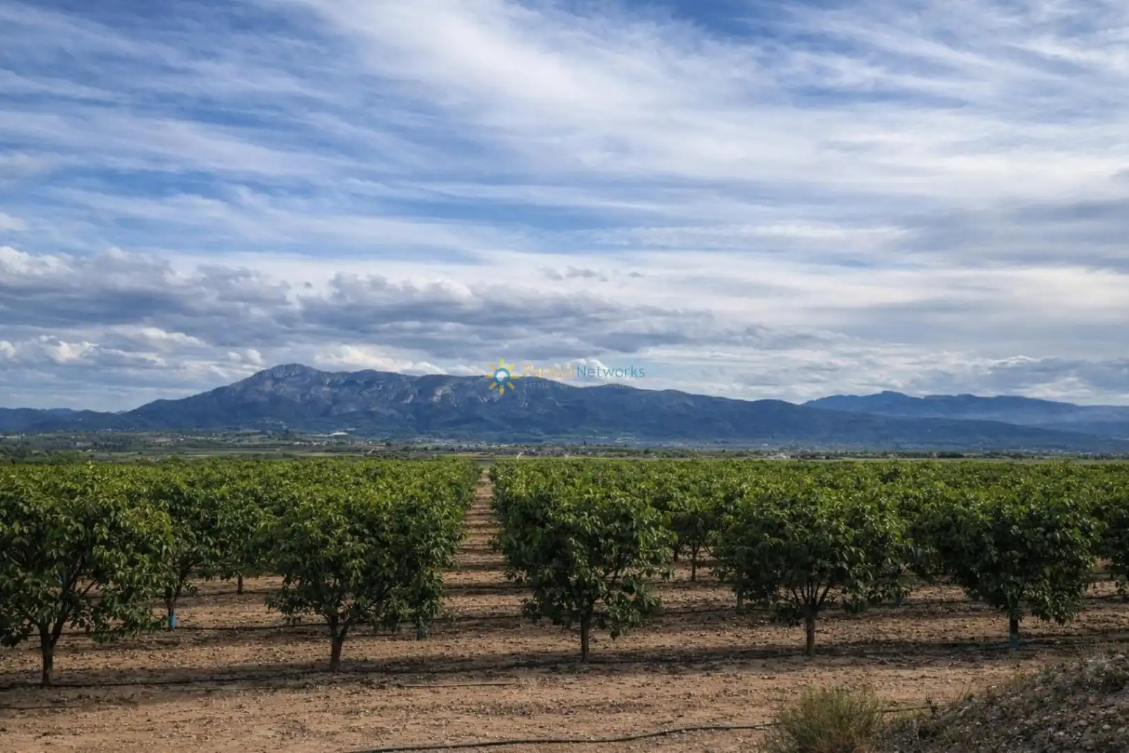 Finca rústica en venda en Benigànim amb Traster