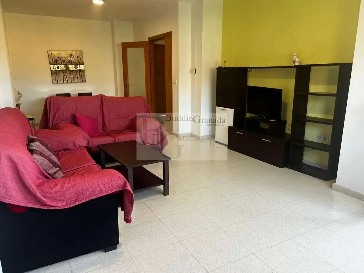 Sala d'estar de Pis de lloguer en Granada amb Terrassa i Moblat
