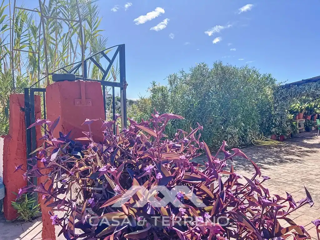 Houses for sale in Camino de Cuesta Bravo, Sedella