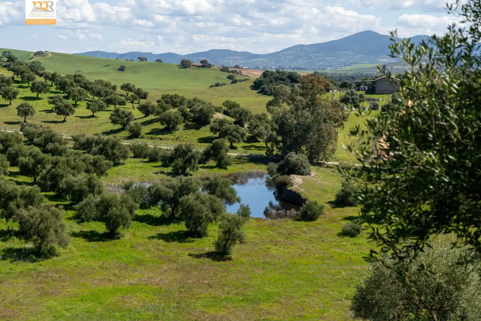 Finca rústica en venta en Prado del Rey