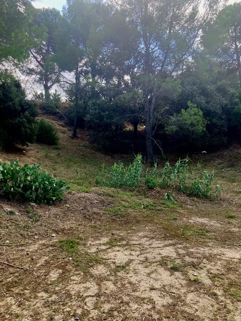Terreny residencial en venda a Avinguda del Roser, imagen 2