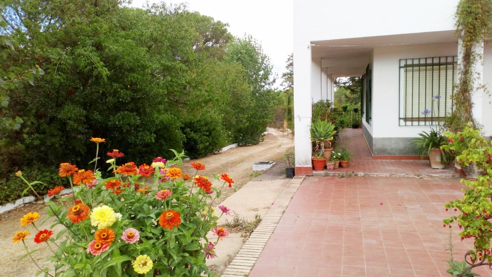 Garden of House or chalet for sale in Beas